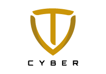 vtcyber-logo-www-gold2